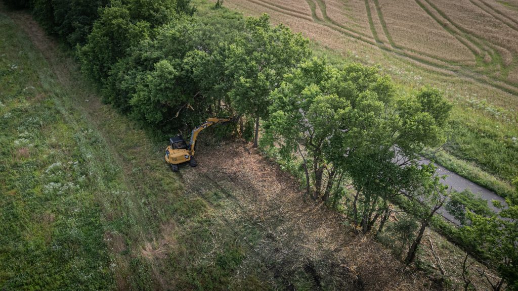 Learn more about our forestry mulching and stump grinding in our blog