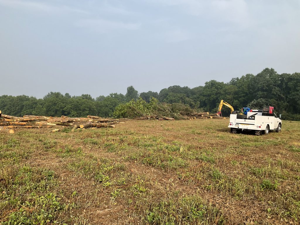 Piles of trees and brush waiting to be shredded on a commercial project.