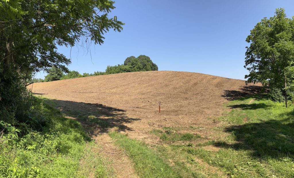 Reclaiming land made easy with Clear Fork Land Clearing's professional land clearing services