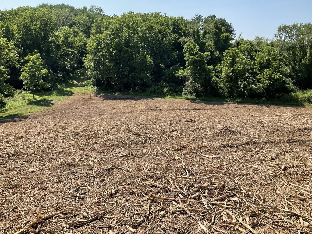 Clear Fork Land Clearing specializes in forestry mulching, an effective method to reclaim land that is over grown.