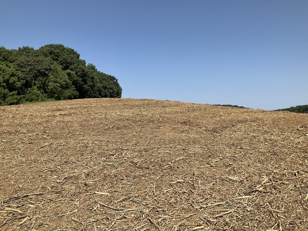Shredded bark and wood chips are spread evenly across the ground after Clear Fork Land Clearing cleared off an overgrown field.