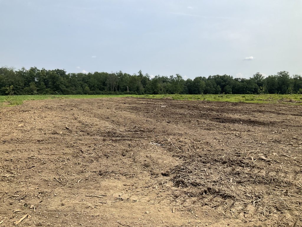 Field edge clearing to allow for more usable acreage in your field