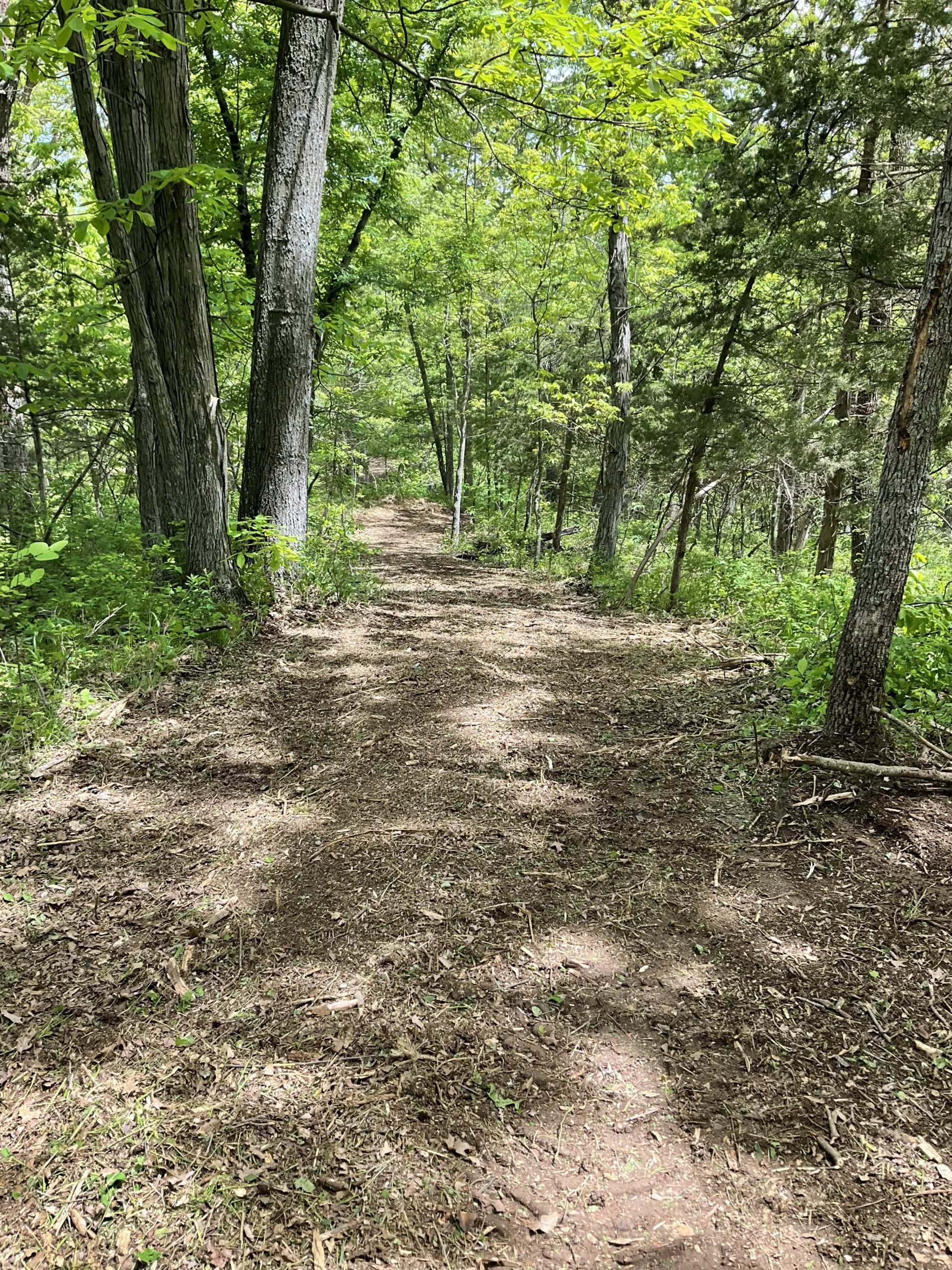 Four wheeler path clearing through the woods