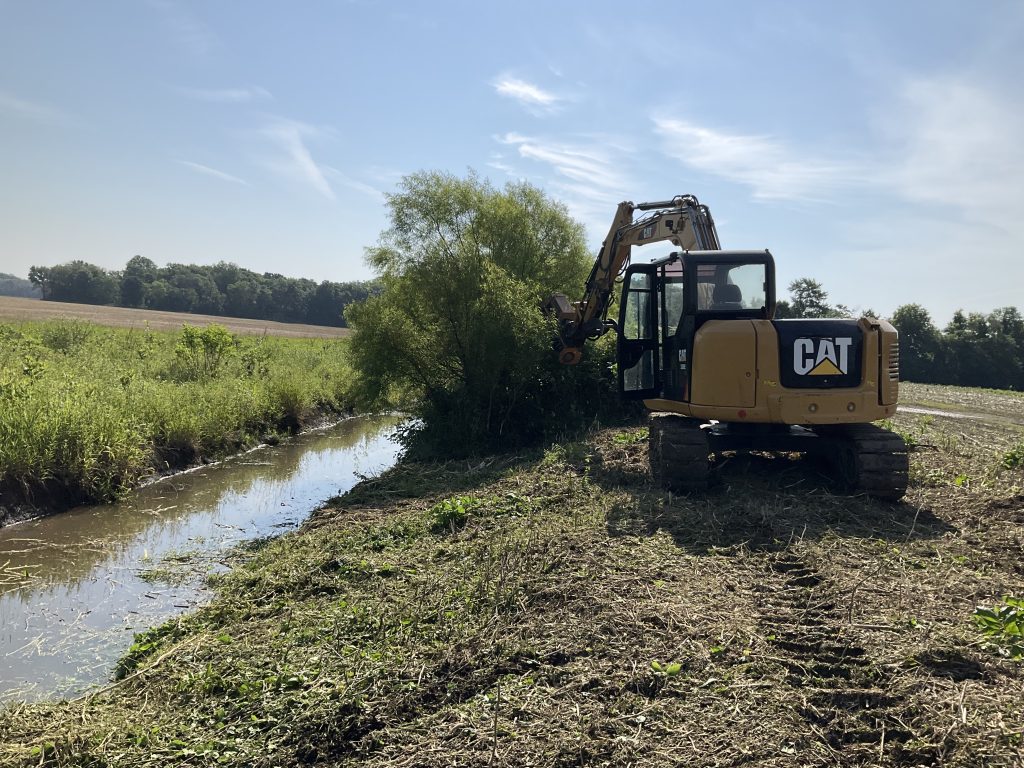 An excavator clears away brush, trees, and grass. By using a forestry mulcher attachment, there are not brush piles to burn, and it is less invasive to the soil