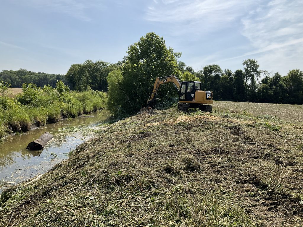 Cleaning up a creek bank using a forestry mulcher attachment on an excavator