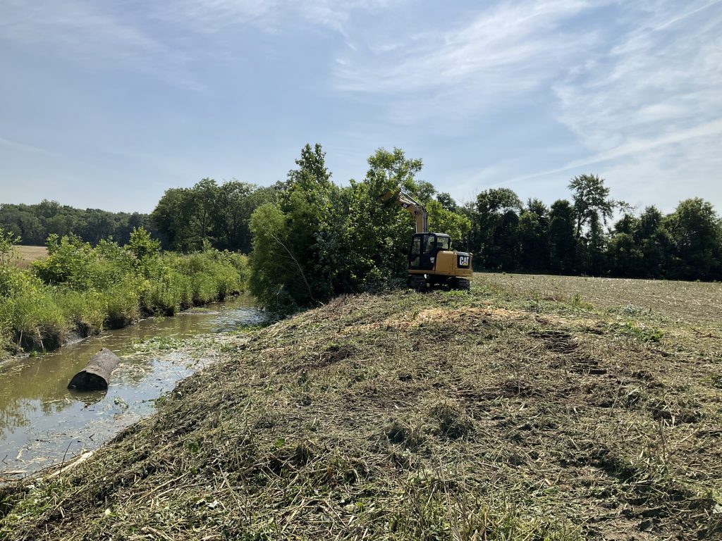 Cleaning up a creek bank using a forestry mulcher