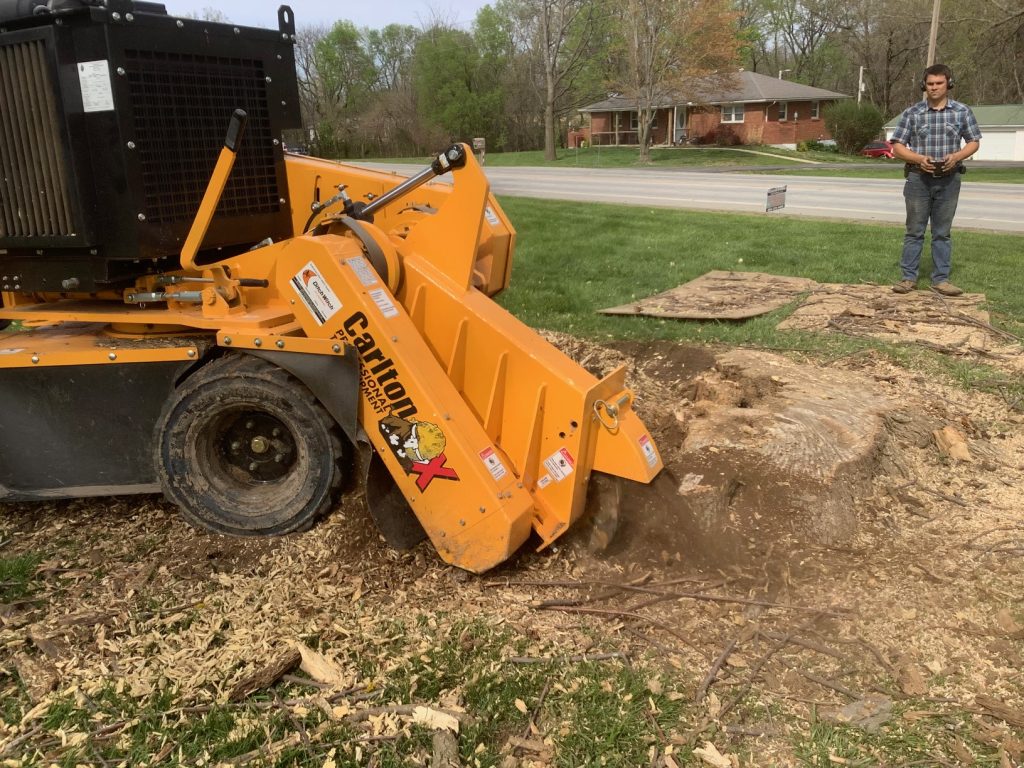 An operator remotely operates a powerful stump grinder, quickly and efficiently eliminating the tree stump.