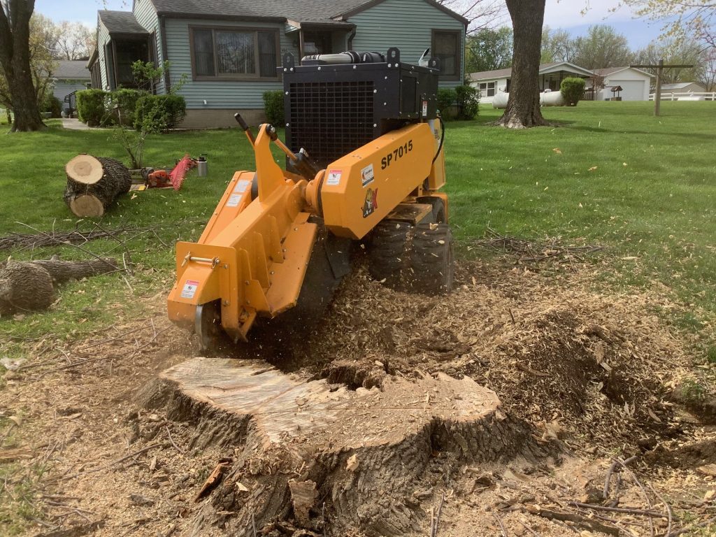 Stump Grinding Services MO
