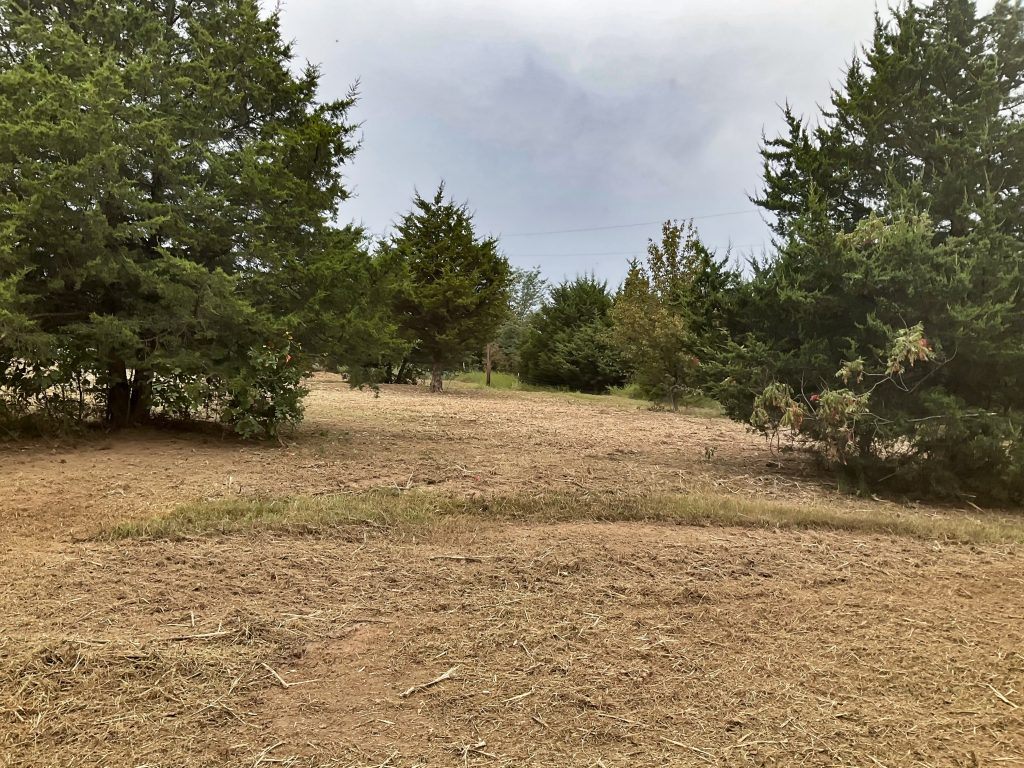 Mulched wood chips scattered on the ground after the minimally invasive process of forestry mulching is completed.
