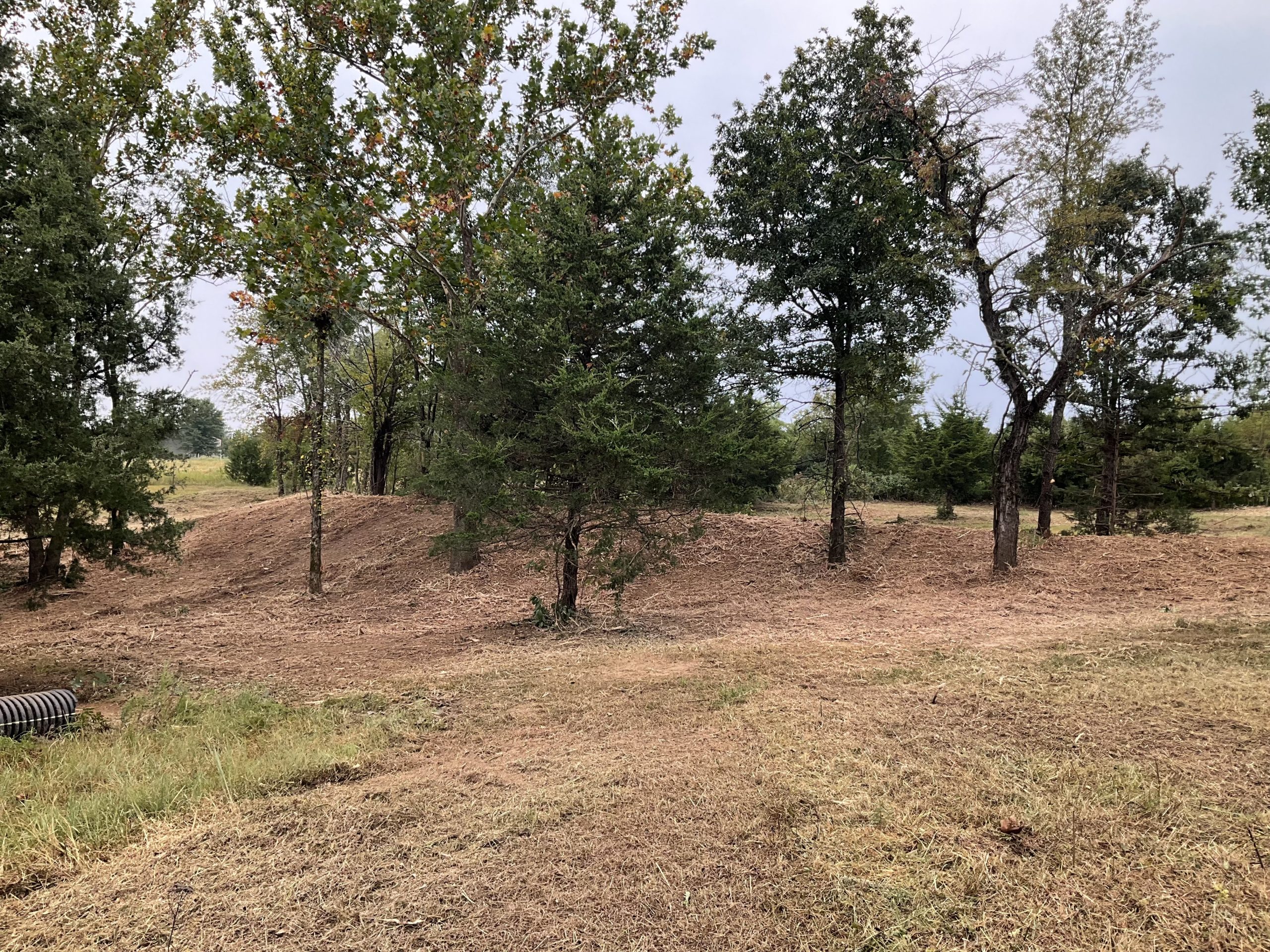 Freshly cleared hillside, using selective clearing.