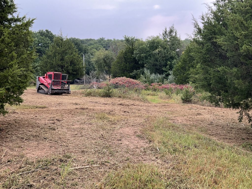Newly cleared area.