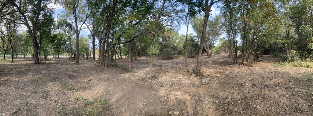 Selective land clearing in a wooded area.