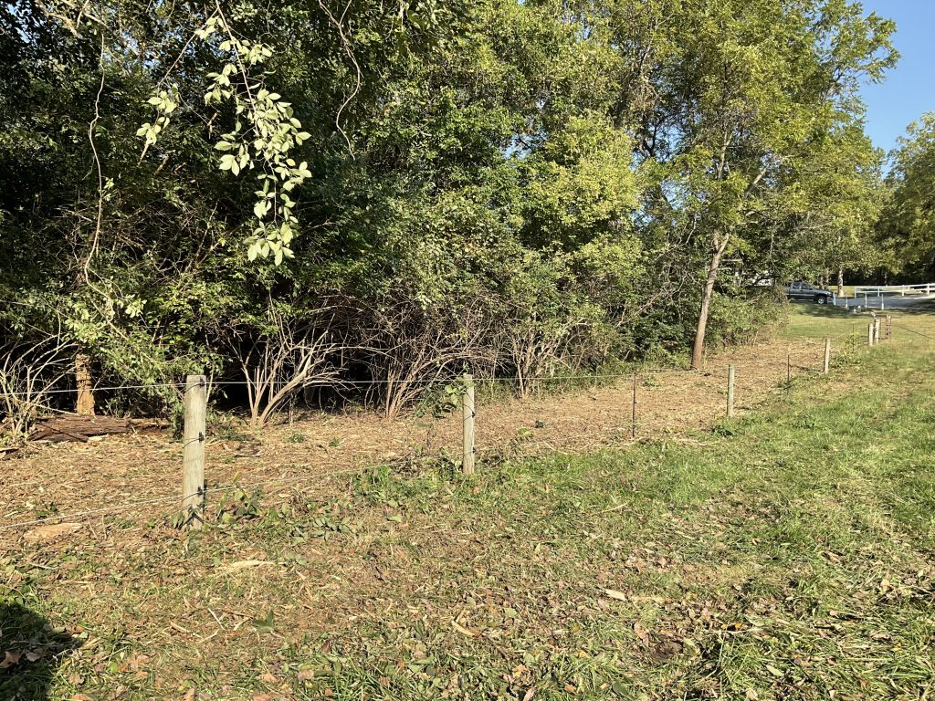 A freshly cleared fence line, using the forestry mulching method