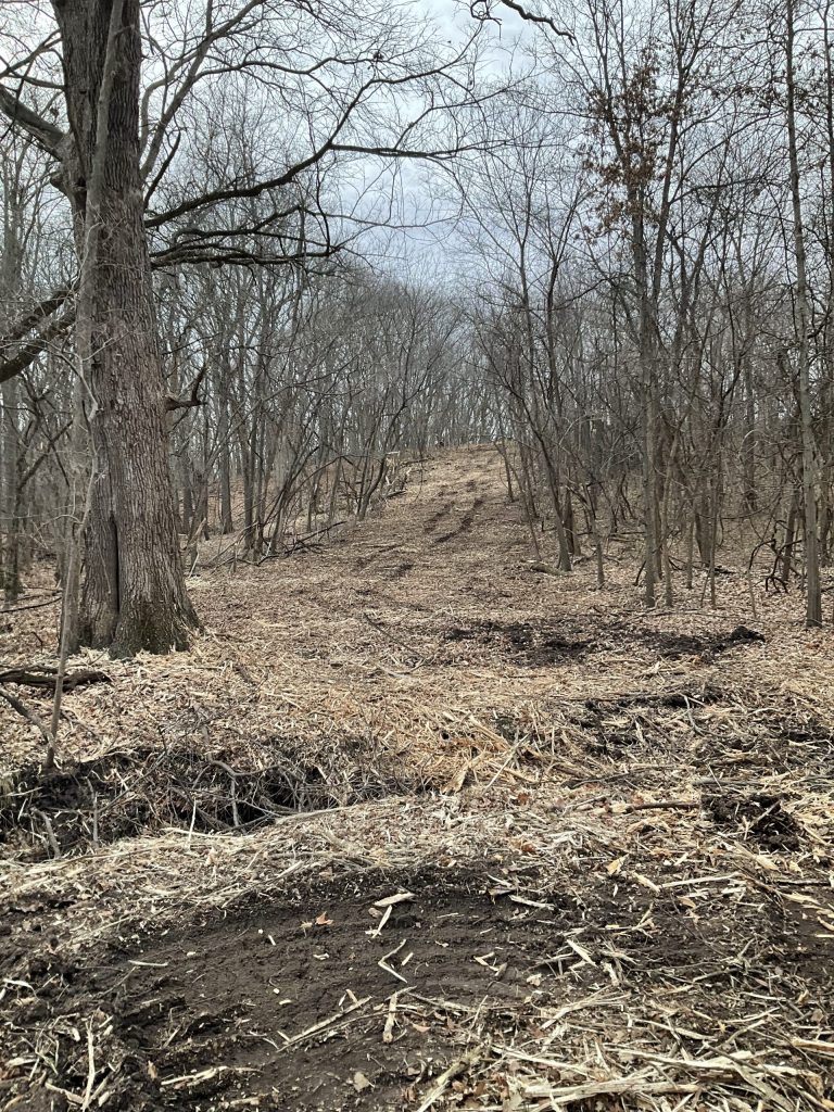 Right of way land clearing opens up paths to remote parts of the the woods