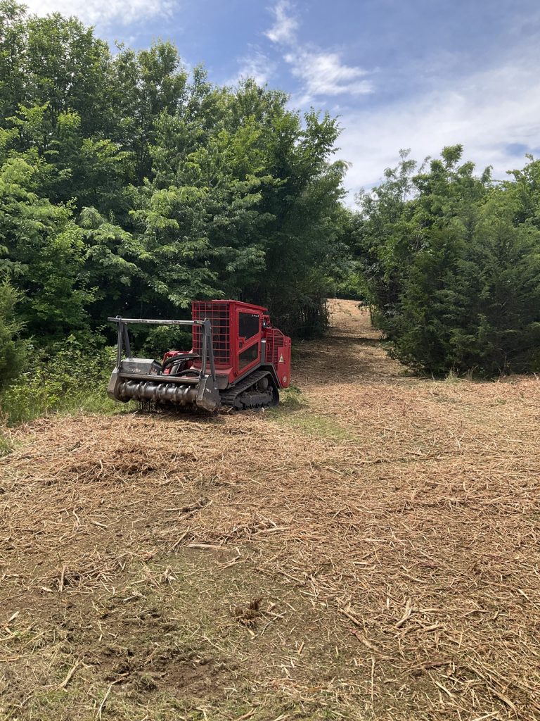 Right of way clearing with the forestry mulching method is environmentally friendly, more price effective, and requires zero cleanup afterwards.