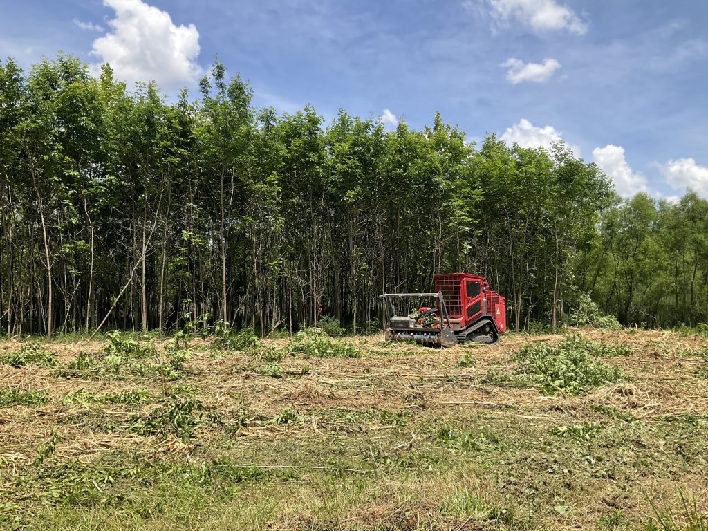 A forestry mulcher cuts through 15' saplings and underbrush, reclaiming an overgrown field.
