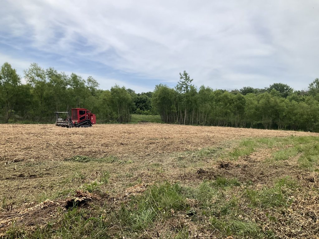 Freshly cleared field and pasture area