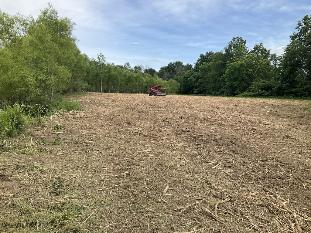 Land clearing equipment mulches an overgrown field.